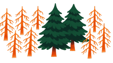 Illustration of green and orange trees against an orange background.