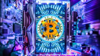 Inside the Lavish Bitcoin Heist: 5-Star Hotels & Vanishing Millions