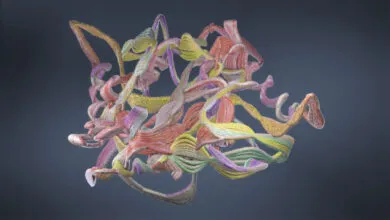 Abstract 3D rendering of a complex protein structure with colorful, intertwined strands.
