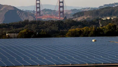 Solar Boom in US Nearly Meets Rising Energy Demand