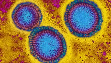 H3N2 Mutations Signal a Severe Flu Season Ahead