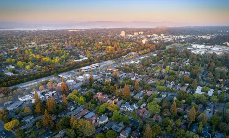 Aerial view of a suburban neighborhood with trees and houses at sunset.