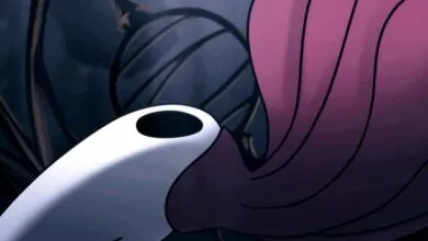 Future Hollow Knight games will be standalone, says Team Cherry