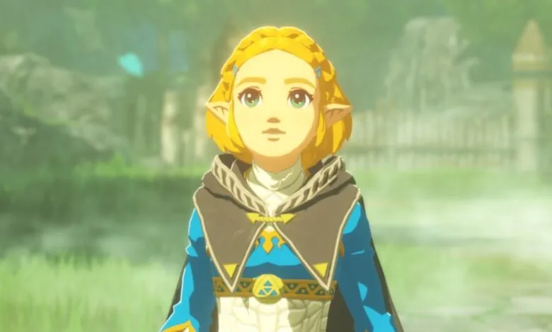 Princess Zelda in a blue and gold tunic with a brown cloak, looking forward.