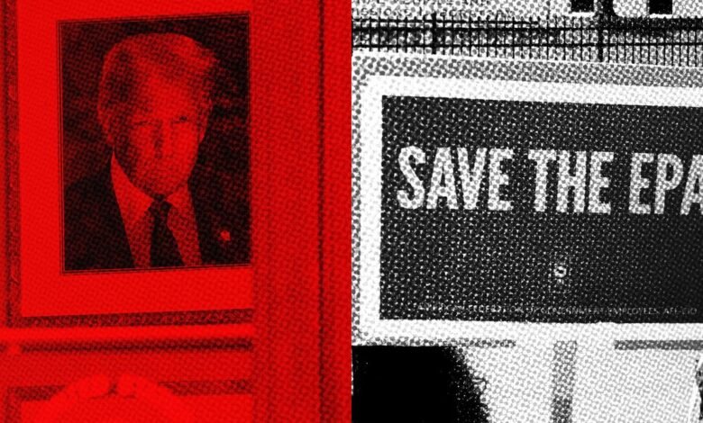 Portrait of Donald Trump in red, next to a sign that says 'SAVE THE EPA!'