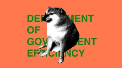The Fall of DOGE: A New Era of Crypto Chaos