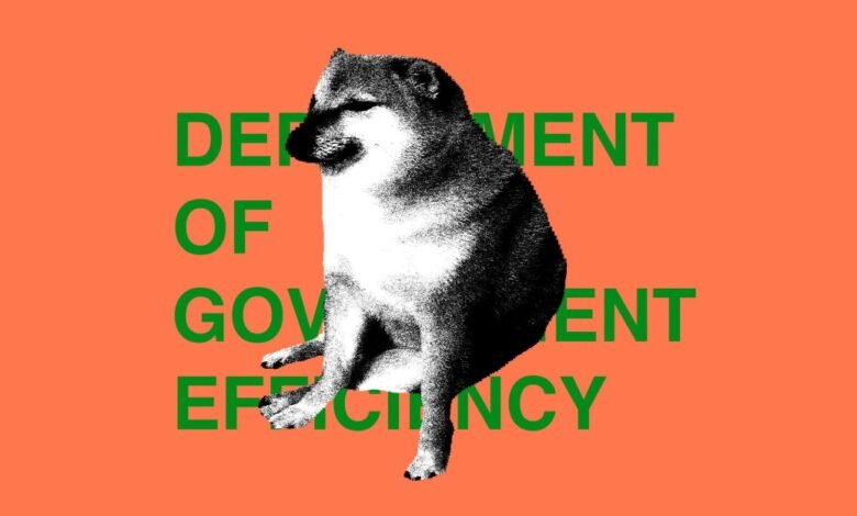 Doge meme with 'Department of Government Efficiency' text on orange background.