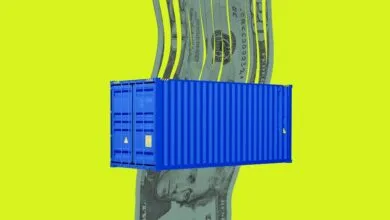 The Great Tariff Shakedown: Winners and Losers