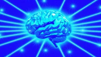 Google Scholar Labs: AI-Powered Research Discovery