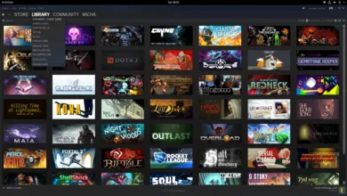 Screenshot of the Steam game library interface showing a grid of game covers.