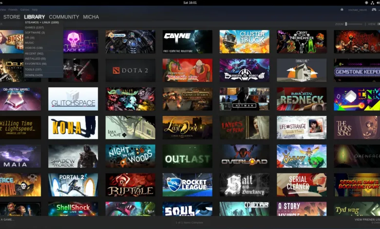 Screenshot of the Steam game library interface showing a grid of game covers.