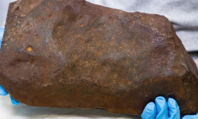 Large, dark brown meteorite being held with blue gloved hands.