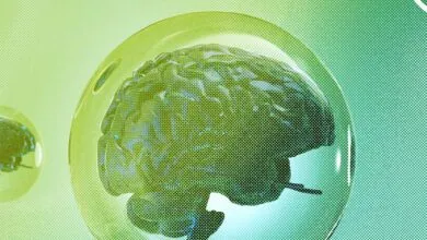 4 Key Signs of a Tech Bubble