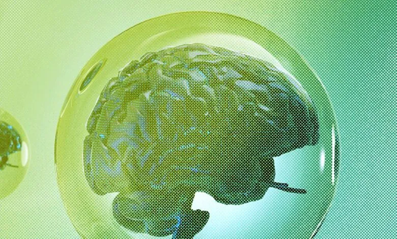 Digital brain encased in a transparent bubble with a gradient background.