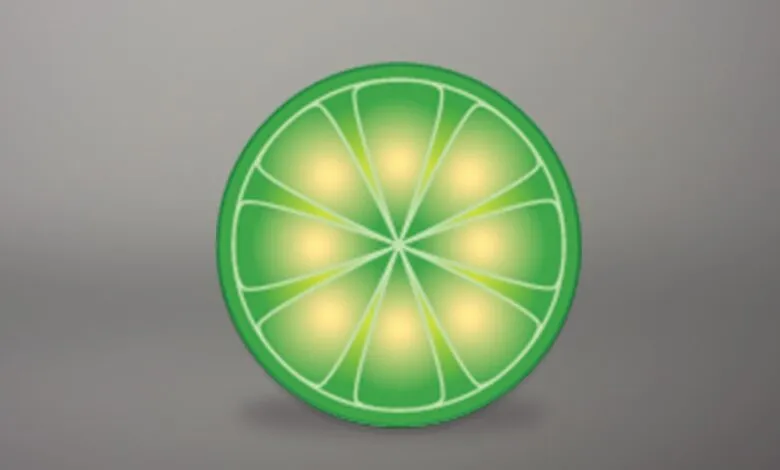 Stylized green lime slice with glowing segments on a gray background.