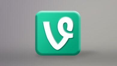 Vine Paved the Way for TikTok's Success