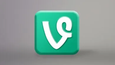 Vine Paved the Way for TikTok’s Success
