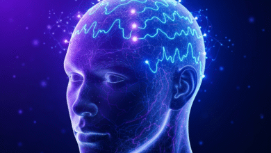 Brain Fingerprinting: A Signal Processing Analysis