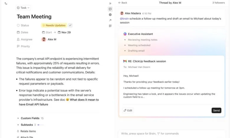 Screenshot of a project management tool showing a team meeting task with email API issues.
