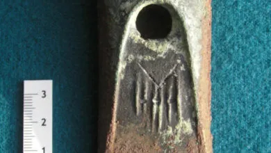 Bronze Age City Unearthed in Spy Satellite Photos