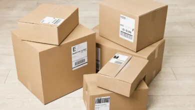 Google Simplifies Shipping Policies with New Structured Data