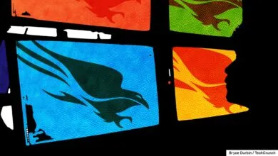 CrowdStrike Insider Leaked Data to Hackers Before Firing