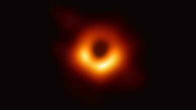 Unlocking Gravity's Secrets with New Black Hole Images
