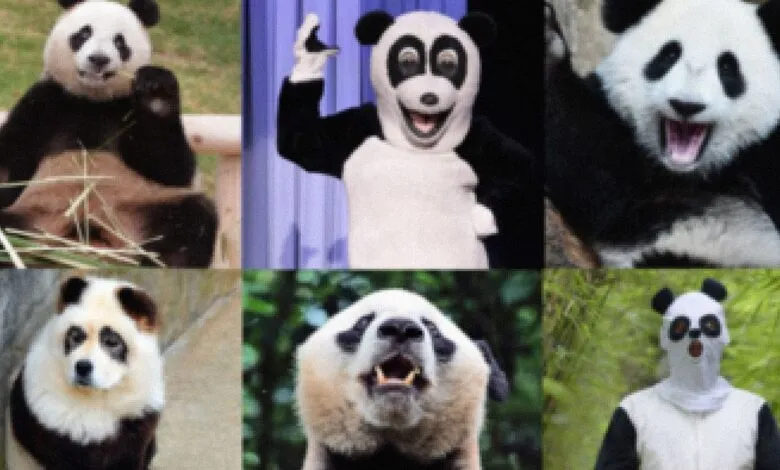 Collage of six images featuring pandas in various poses and costumes.