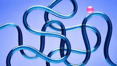 5 Key Factors for a Successful AI Rollout