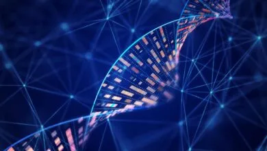 8 Ways to Build Responsible AI Into Your Company Culture