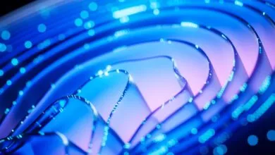 Protect Your Career from AI: A White-Collar Worker’s Guide