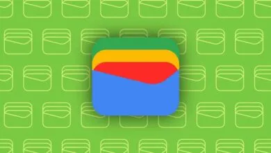 Google Wallet logo with a green background pattern of wallet icons.
