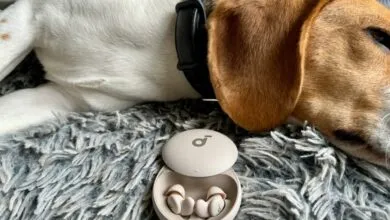 My Favorite Snore-Blocking Sleepbuds Hit Their Lowest Price Ever