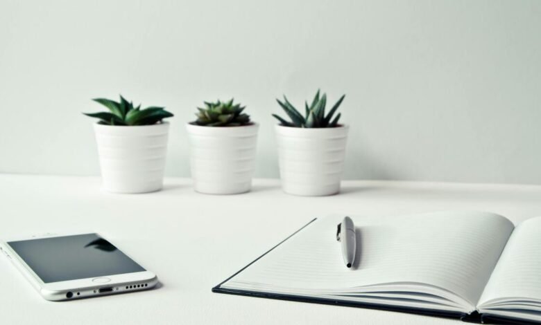 A minimalist desk setup with a smartphone, open notebook, pen, and potted succulents.