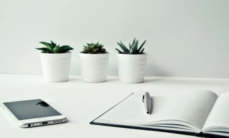 A minimalist desk setup with a smartphone, open notebook, pen, and potted succulents.