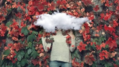 Person with a cloud obscuring their head, surrounded by red and green ivy.