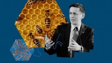 Composite image of man in suit, bees on honeycomb, and molecular structure.