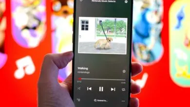 Nintendo’s App Overload Is a Problem