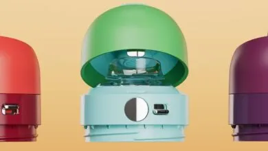 Why Okapa’s $300 Water Bottle Costs So Much