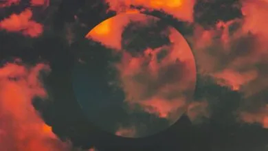 China’s Free AI Model Outperforms GPT-5 and Sonnet 4.5