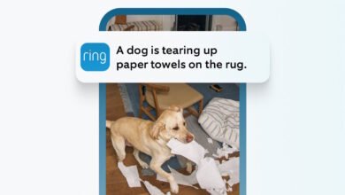 Ring's New Feature Ends Camera Notification Overload