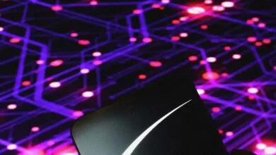 DOJ Seizes Starlink Systems Used in Scam Compound