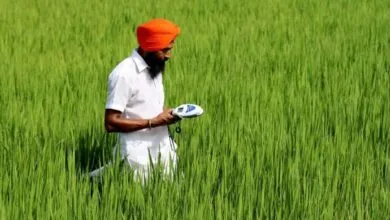 Kering-backed Mirova invests $30.5M in Varaha for regenerative farming