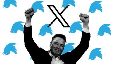 Elon Musk celebrates Twitter's rebranding to X with dead bird icons.