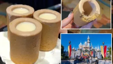 Disneyland’s Priciest Drink May Soon Vanish