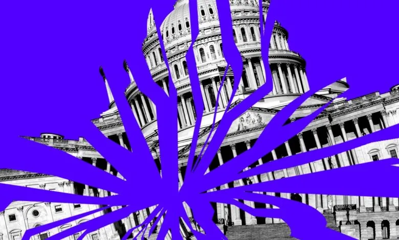 US Capitol Building in black and white with bold purple graphic overlay.