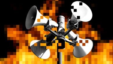 Why the Fight Against Disinformation Is Failing