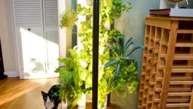 How a Smart Garden Fixed My Black Thumb