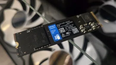 SanDisk WD Blue SN5100 NVMe SSD: Performance Review