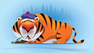 Cartoon tiger with ice pack and thermometer looks sick in snowy scene.